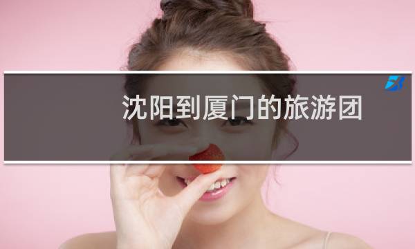 沈陽到廈門的旅游團