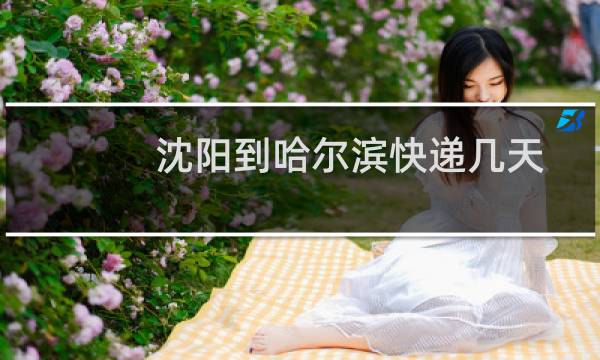 沈阳到哈尔滨快递几天