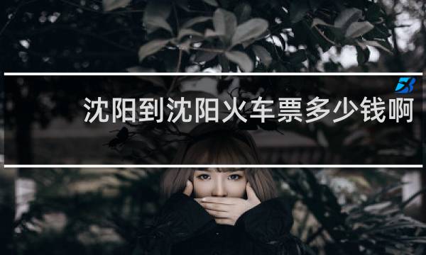 沈阳到沈阳火车票多少钱啊