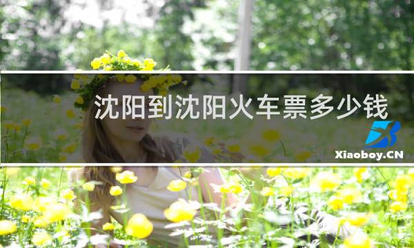 沈阳到沈阳火车票多少钱