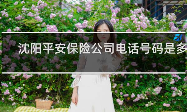 沈阳平安保险公司电话号码是多少