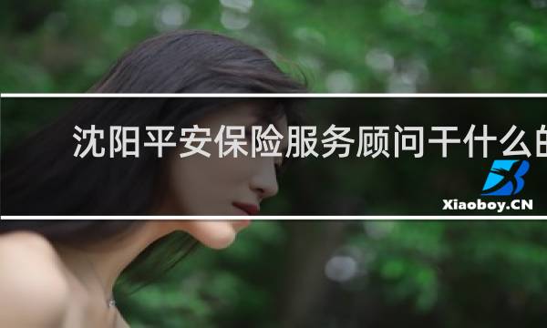 沈阳平安保险服务顾问干什么的
