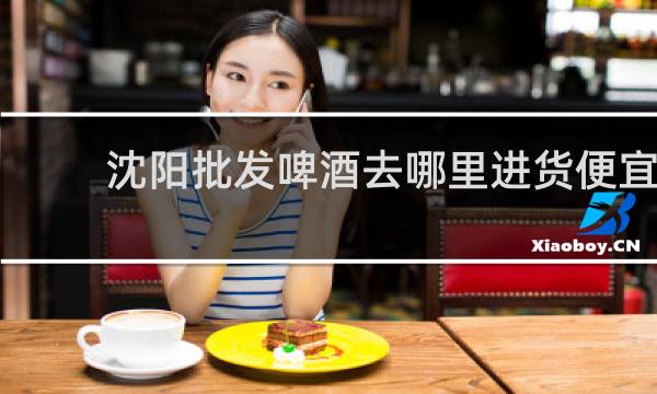 沈阳批发啤酒去哪里进货便宜