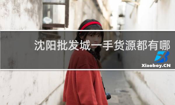 沈阳批发城一手货源都有哪