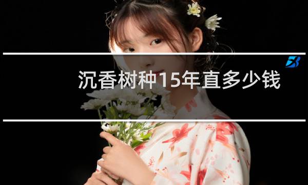 沉香树种15年直多少钱