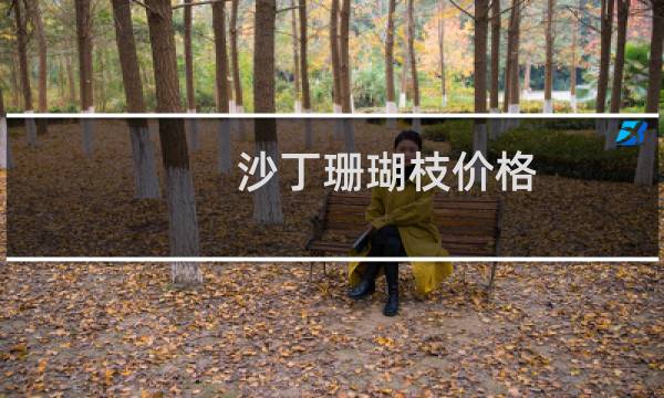 沙丁珊瑚枝价格