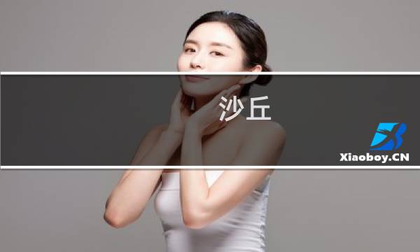 沙丘 攻略