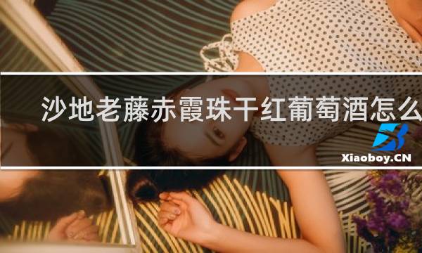 沙地老藤赤霞珠干红葡萄酒怎么样