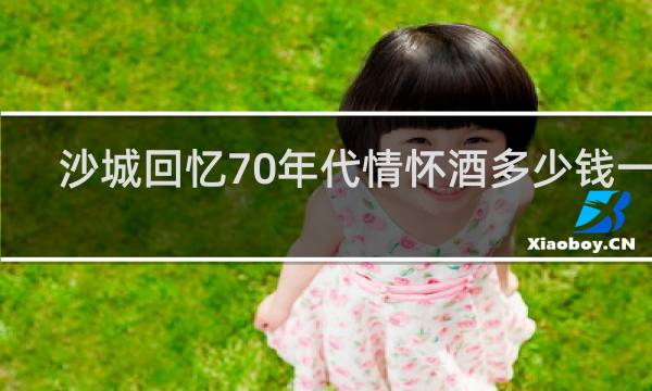 沙城回忆70年代情怀酒多少钱一瓶