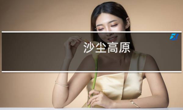 沙尘高原 攻略