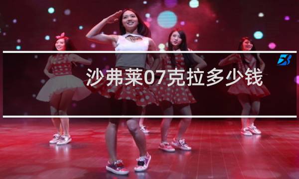 沙弗莱07克拉多少钱