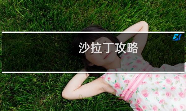 沙拉丁攻略