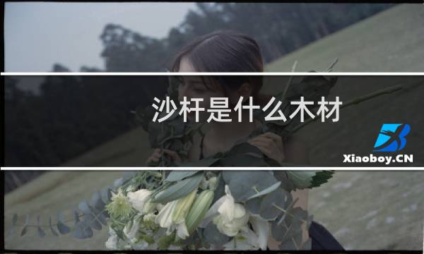 沙杆是什么木材