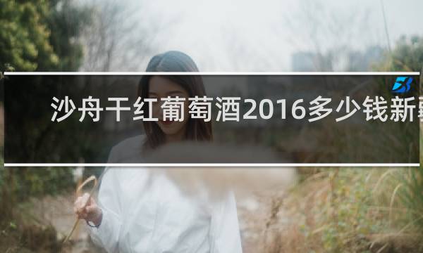 沙舟干红葡萄酒2016多少钱新疆