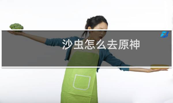 沙虫怎么去原神