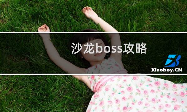 沙龙boss攻略