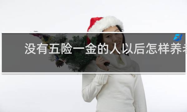 没有五险一金的人以后怎样养老