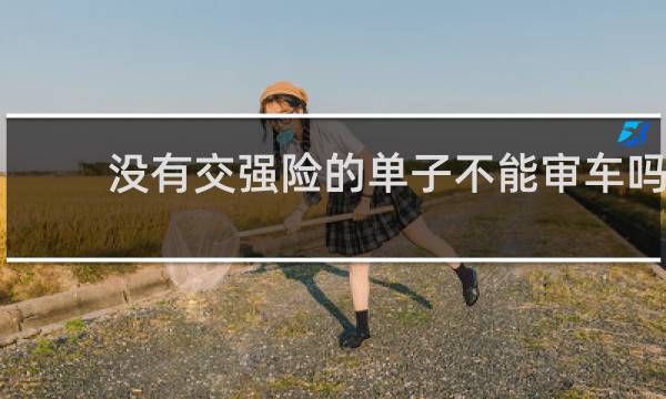 没有交强险的单子不能审车吗