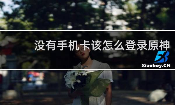 没有手机卡该怎么登录原神