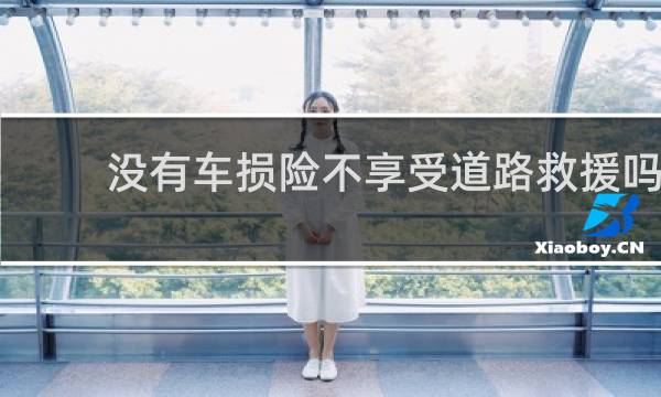 没有车损险不享受道路救援吗