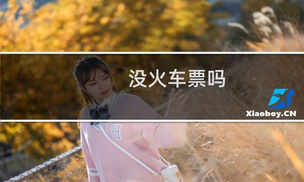 没火车票吗
