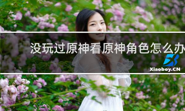 没玩过原神看原神角色怎么办