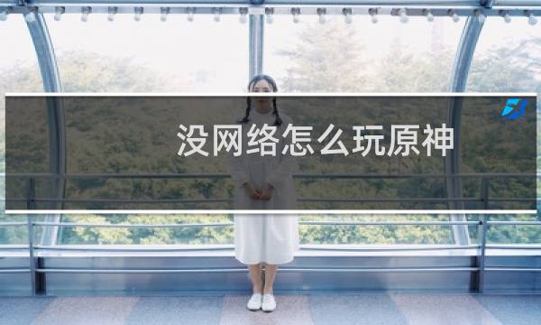 没网络怎么玩原神