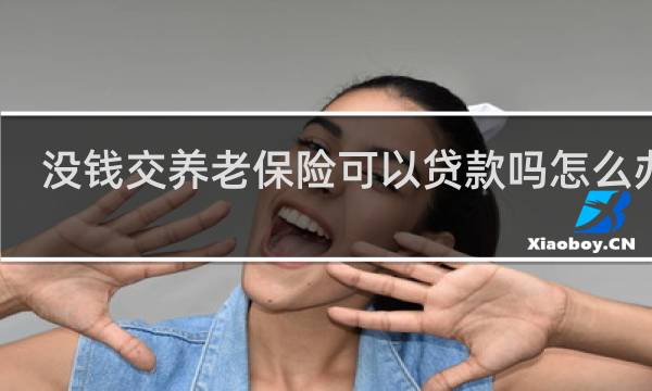 没钱交养老保险可以贷款吗怎么办理