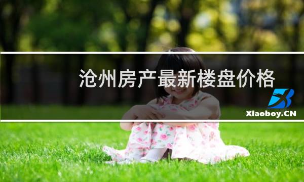 沧州房产最新楼盘价格