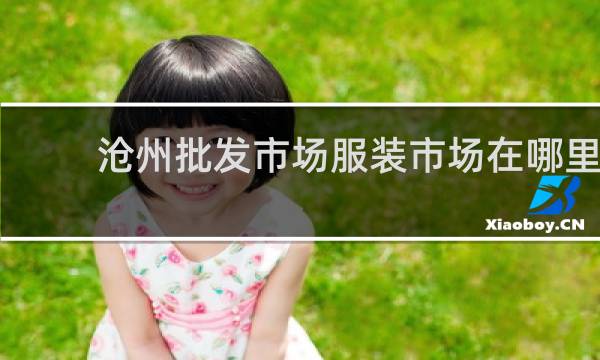 沧州批发市场服装市场在哪里