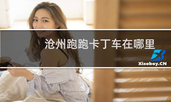沧州跑跑卡丁车在哪里