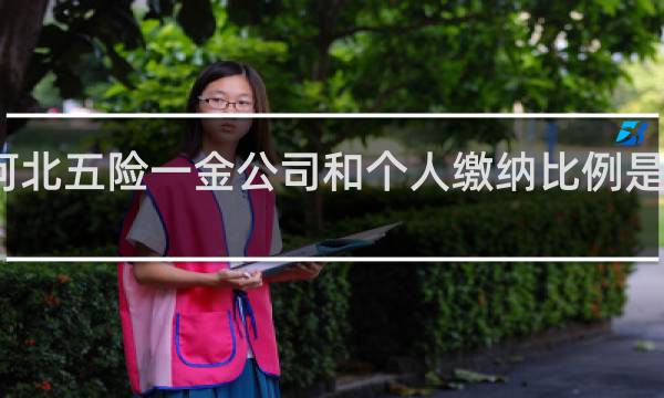 河北五险一金公司和个人缴纳比例是多少钱