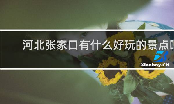 河北张家口有什么好玩的景点吗