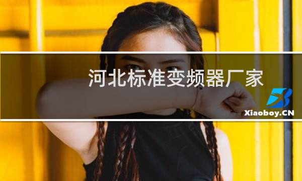 河北标准变频器厂家