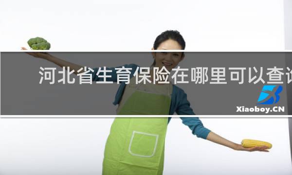 河北省生育保险在哪里可以查询