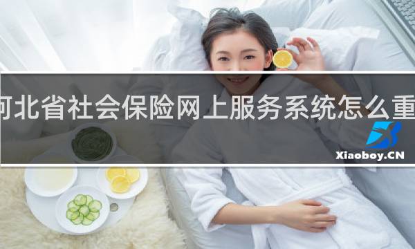 河北省社会保险网上服务系统怎么重置密码