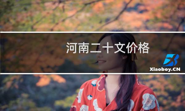 河南二十文价格