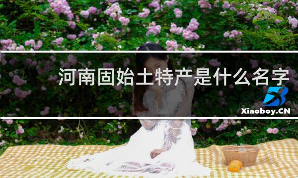 河南固始土特产是什么名字
