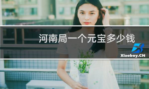 河南局一个元宝多少钱