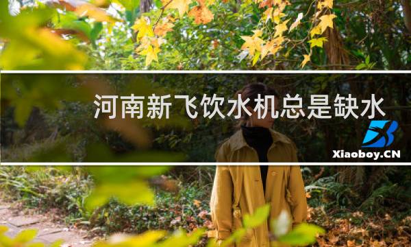 河南新飞饮水机总是缺水