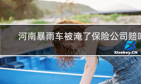 河南暴雨车被淹了保险公司赔吗