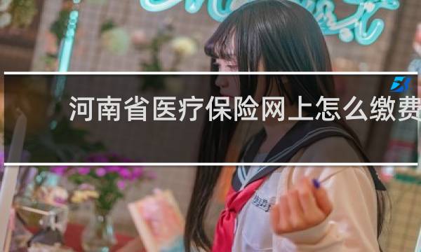 河南省医疗保险网上怎么缴费