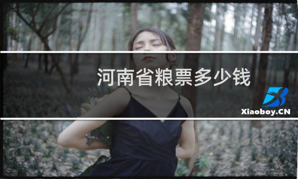 河南省粮票多少钱