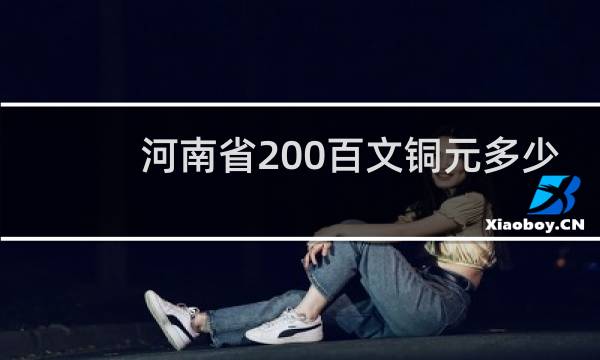 河南省200百文铜元多少