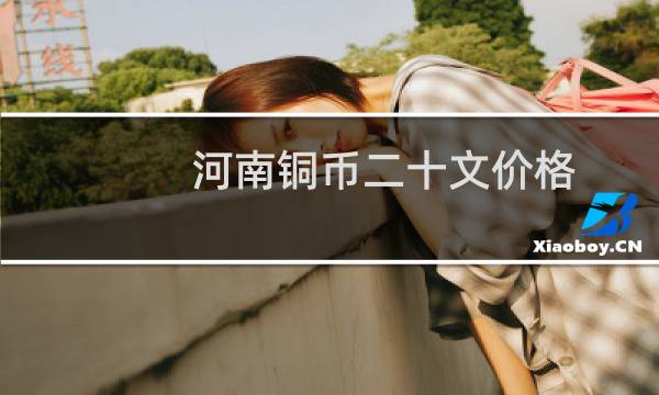 河南铜币二十文价格