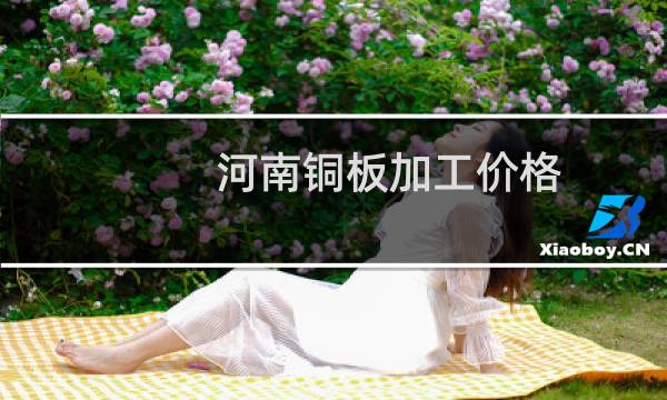 河南铜板加工价格