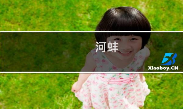 河蚌 价格