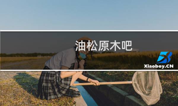 油松原木吧