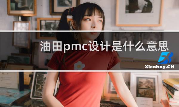 油田pmc设计是什么意思