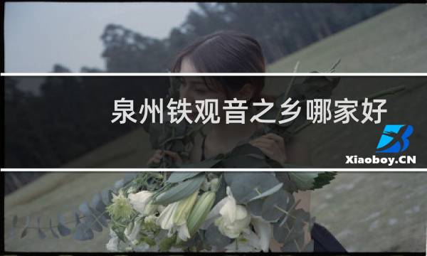 泉州铁观音之乡哪家好